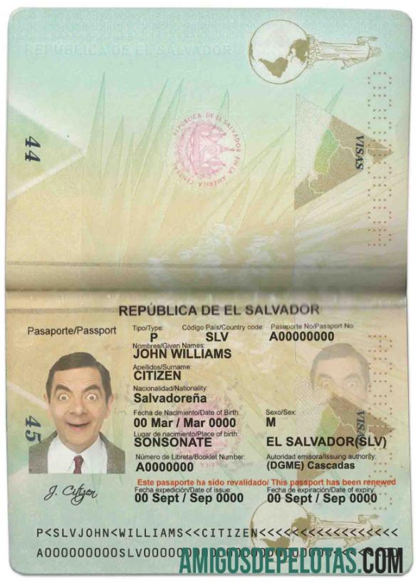 Passaporte Salvador amostra